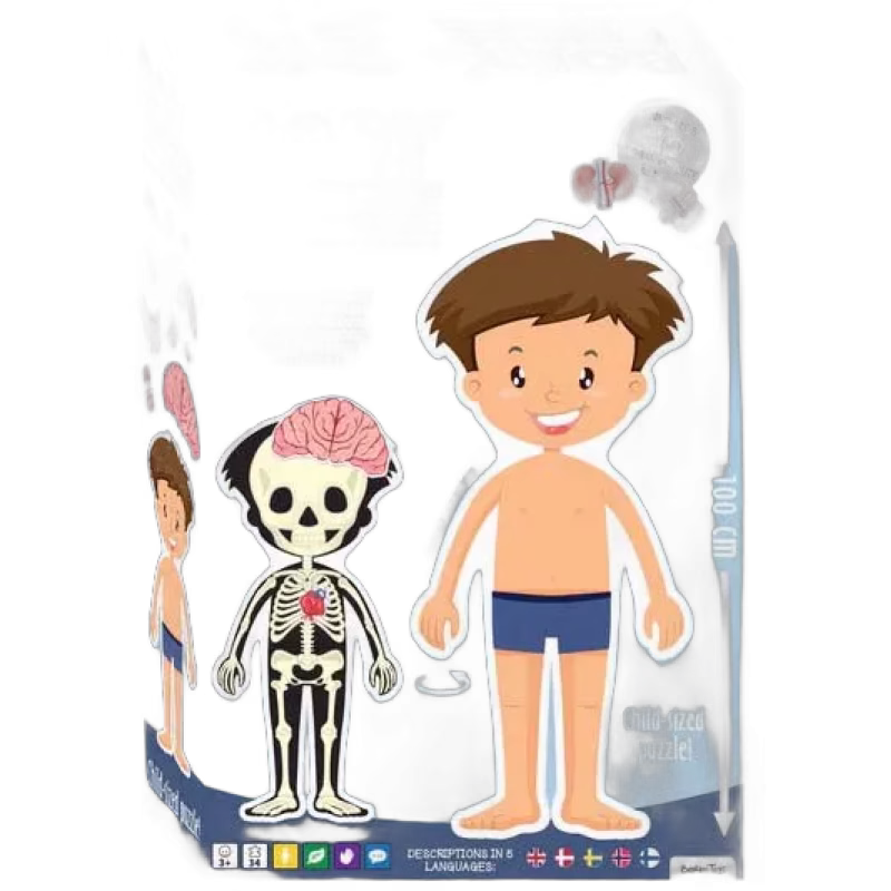 Barbo Toys Body Pussel Pojke 36 Bitar