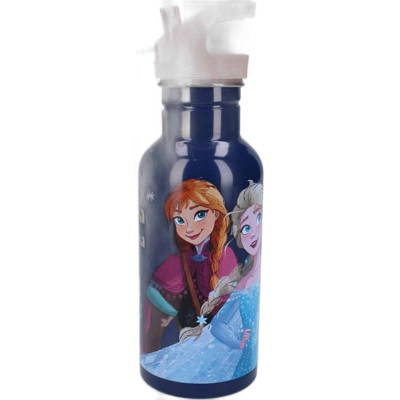 Disney Frozen 2 Vattenflaska 500ml Take A Sip, Blå