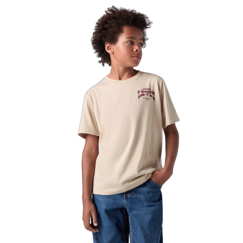 Levi's LVB Gallopping Free T-shirt, White Pepper, 128