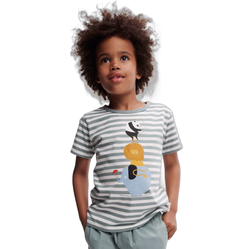 LIEWOOD Apia Placement T-shirt, Circus/Stripe peppermint/Creme de la creme, 128