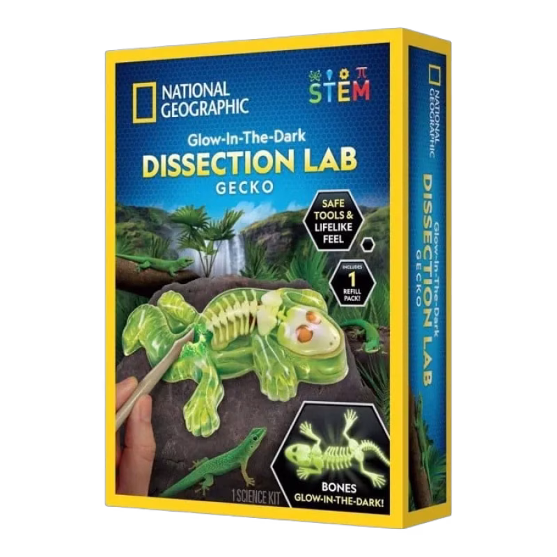 National Geographic Gecko Dissection Lab