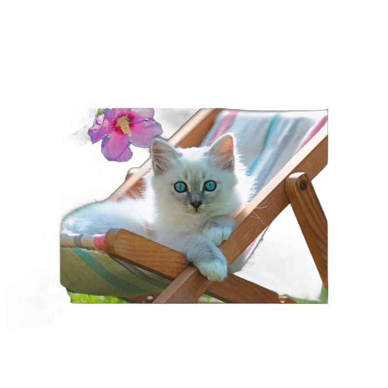 Ravensburger Pussel Kattunge i Solstol 200 Bitar