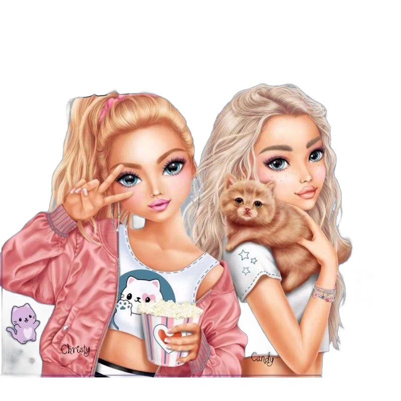 TOPModel Kompisbok DIY-set